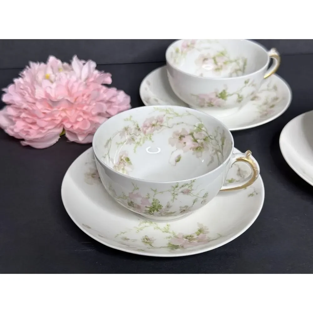 Charles Field Haviland Limoges France Pink Poppies Schleiger 377 Teacup & Saucer